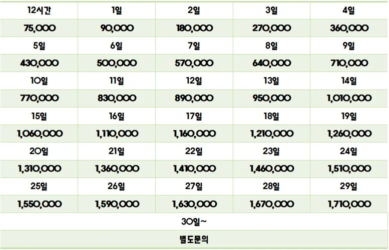 FX-6(CF 메모리카드포함)